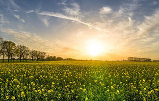 Bild: Technische Optimierung