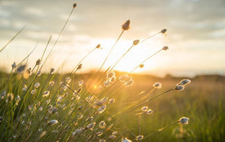 Bild: Wärmepumpe Kosten Wirtschaftlichkeit