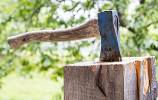 Bild: Holzheizung beste Lösung