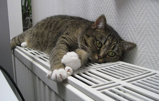 Bild: herkömmliche Heizung Teaser